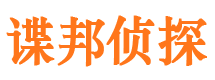 奉新市私家侦探